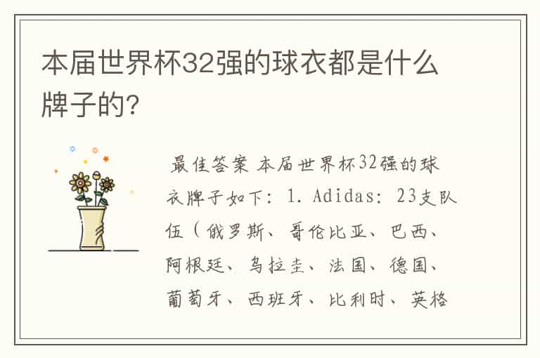 本届世界杯32强的球衣都是什么牌子的?