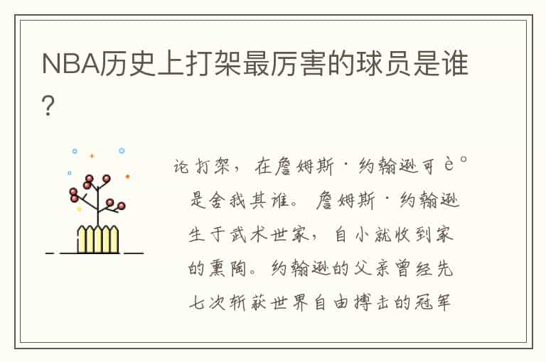 NBA历史上打架最厉害的球员是谁?