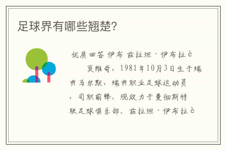 足球界有哪些翘楚?