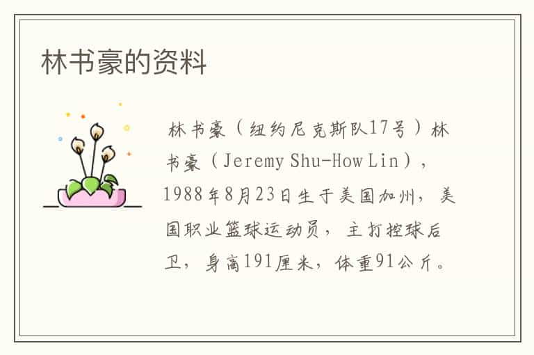 林书豪的资料