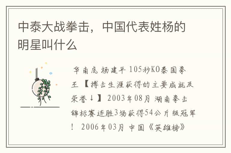 中泰大战拳击,中国代表姓杨的明星叫什么