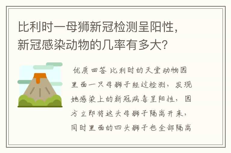 比利时一母狮新冠检测呈阳性,新冠感染动物的几率有多大?