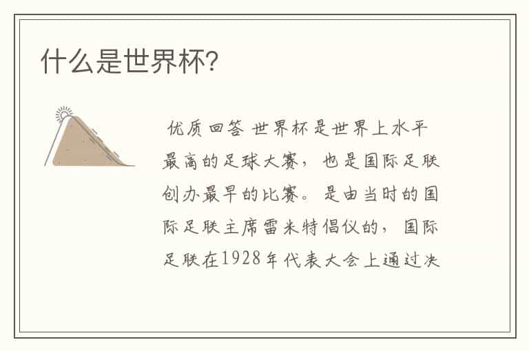 什么是世界杯?