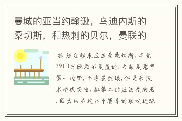 曼城的亚当约翰逊，乌迪内斯的桑切斯，和热刺的贝尔，曼联的纳尼，那个最最最厉害？最最最最全面？请详细