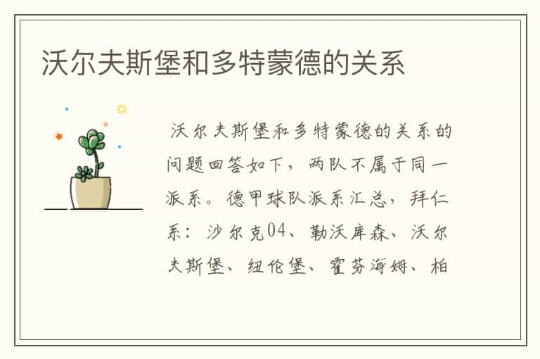 沃尔夫斯堡和多特蒙德的关系