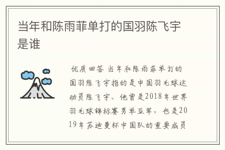 当年和陈雨菲单打的国羽陈飞宇是谁