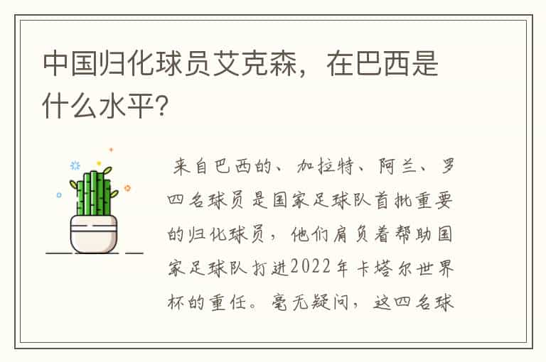 中国归化球员艾克森，在巴西是什么水平？