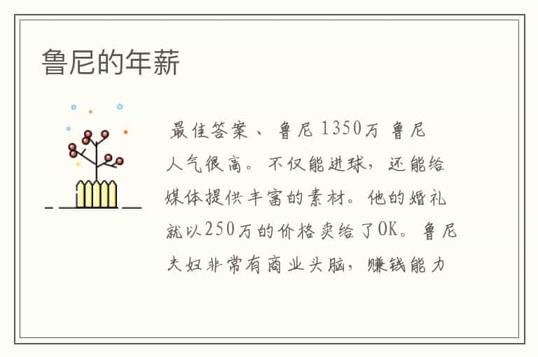 鲁尼的年薪