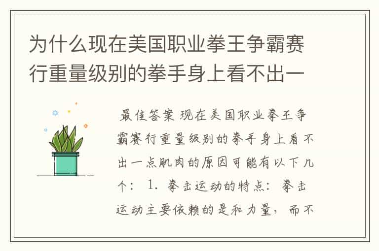 为什么现在美国职业拳王争霸赛行重量级别的拳手身上看不出一点肌肉啊?