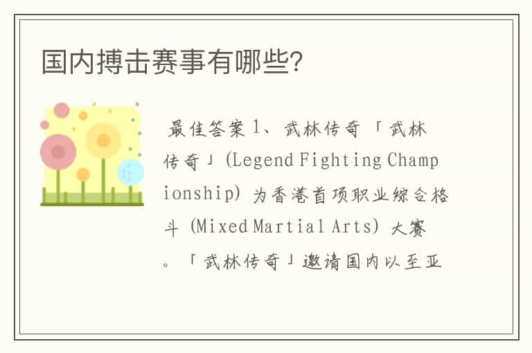国内搏击赛事有哪些?