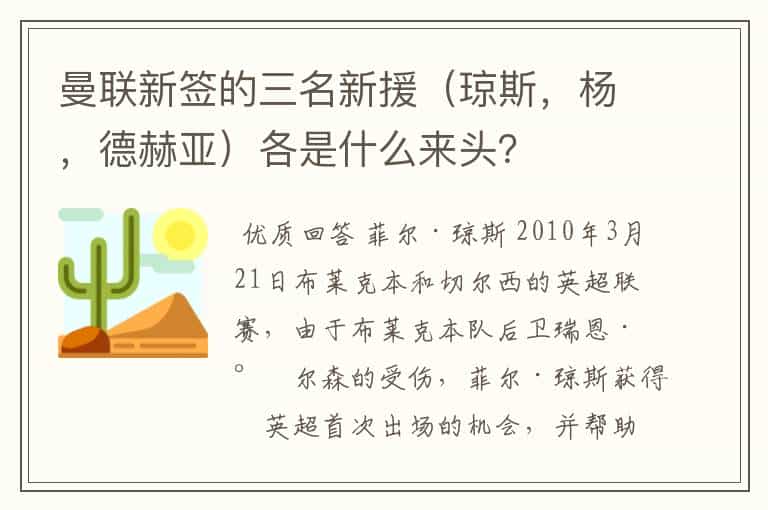曼联新签的三名新援(琼斯,杨,德赫亚)各是什么来头?
