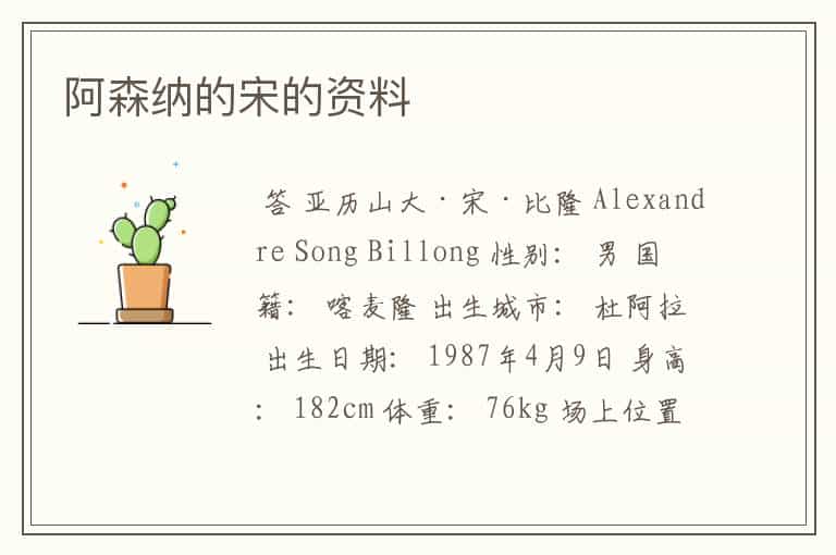 阿森纳的宋的资料