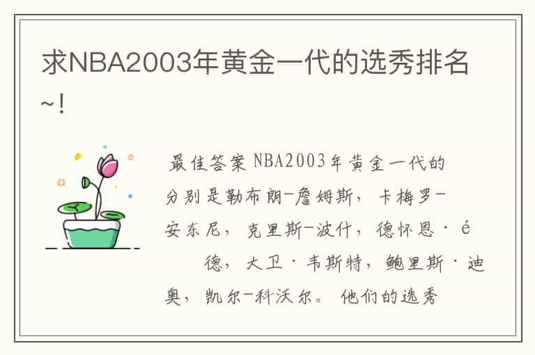 求NBA2003年黄金一代的选秀排名~!
