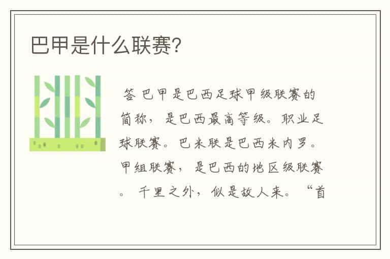 巴甲是什么联赛?