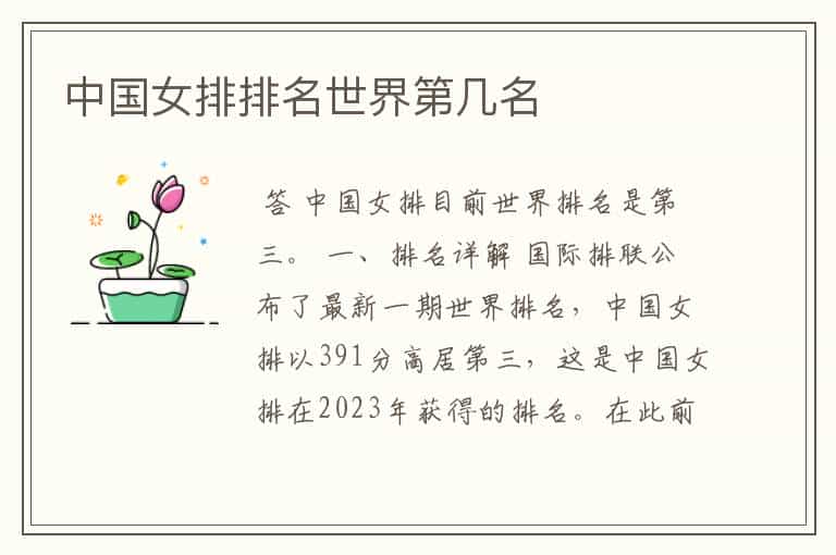 中国女排排名世界第几名