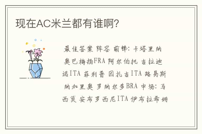 现在AC米兰都有谁啊?