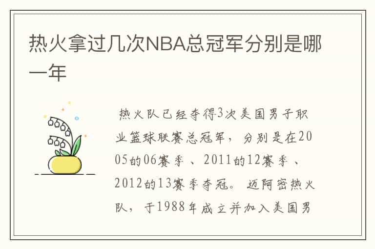 热火拿过几次NBA总冠军分别是哪一年