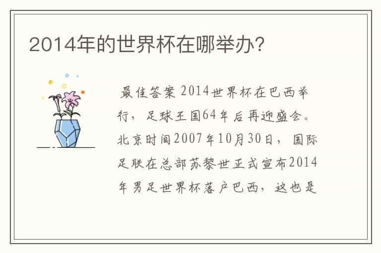 2014年的世界杯在哪举办?