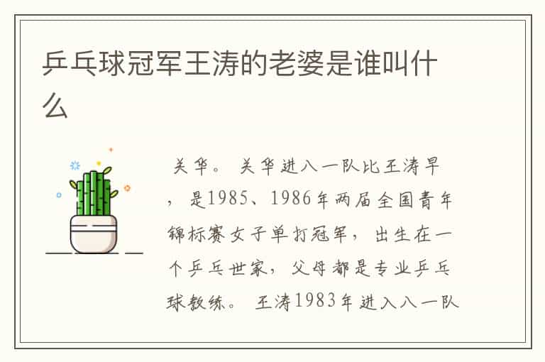 乒乓球冠军王涛的老婆是谁叫什么