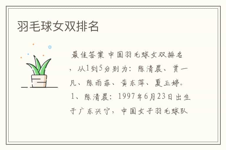 羽毛球女双排名