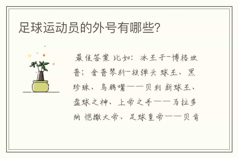 足球运动员的外号有哪些?