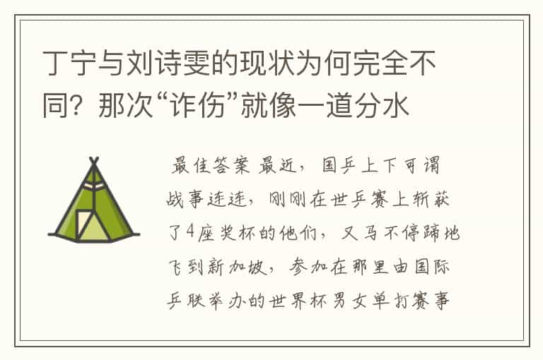 丁宁与刘诗雯的现状为何完全不同?那次“诈伤”就像一道分水岭