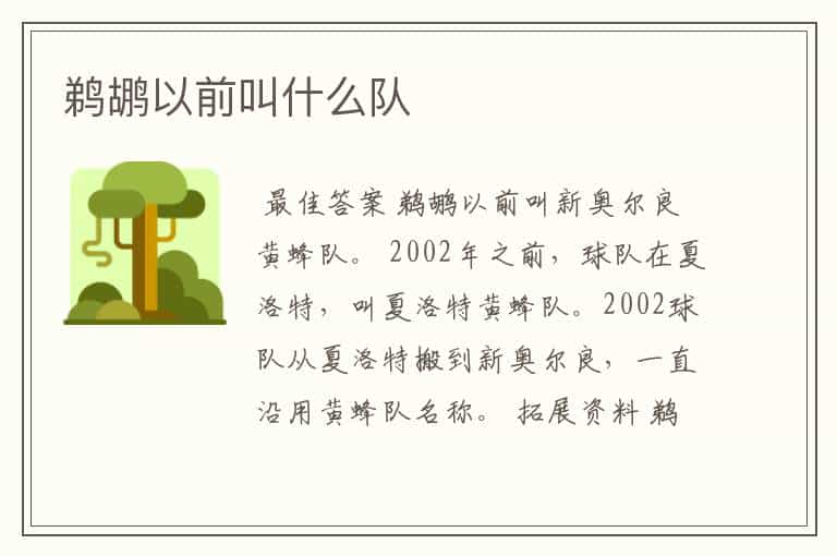 鹈鹕以前叫什么队