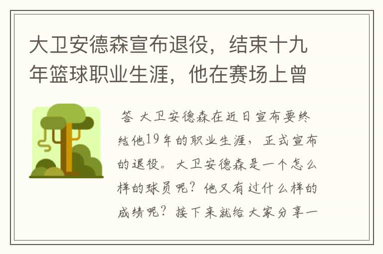 大卫安德森宣布退役,结束十九年篮球职业生涯,他在赛场上曾有过哪些战绩?