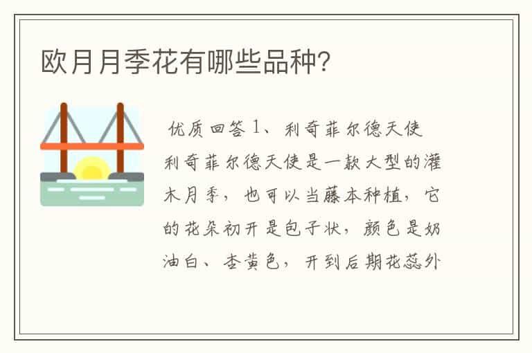 欧月月季花有哪些品种?
