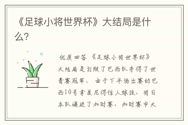 《足球小将世界杯》大结局是什么?