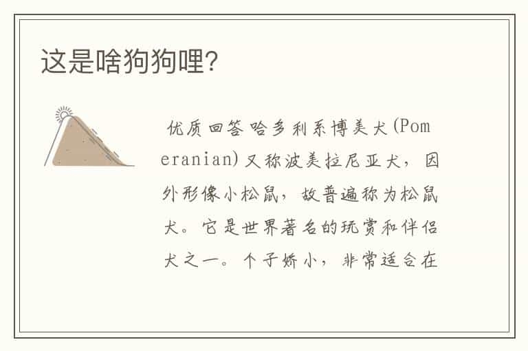 这是啥狗狗哩?