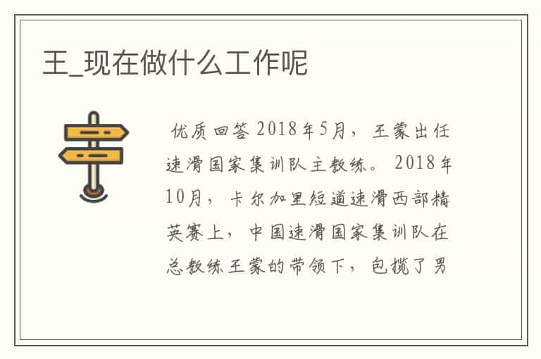 王_现在做什么工作呢