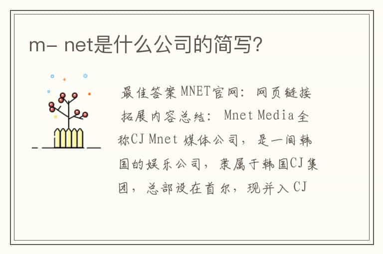 m- net是什么公司的简写?