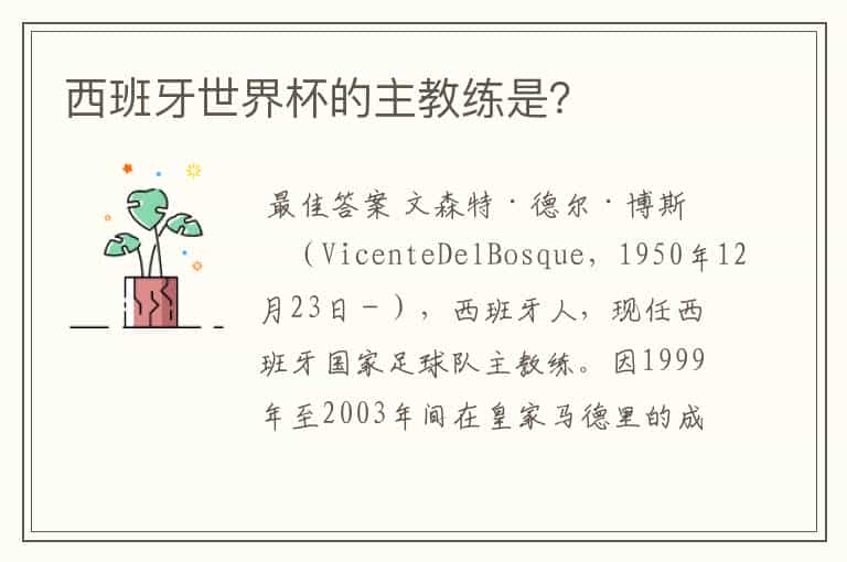 西班牙世界杯的主教练是?