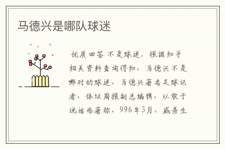 马德兴是哪队球迷