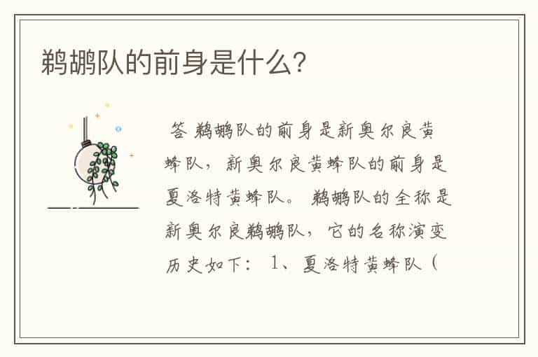 鹈鹕队的前身是什么?