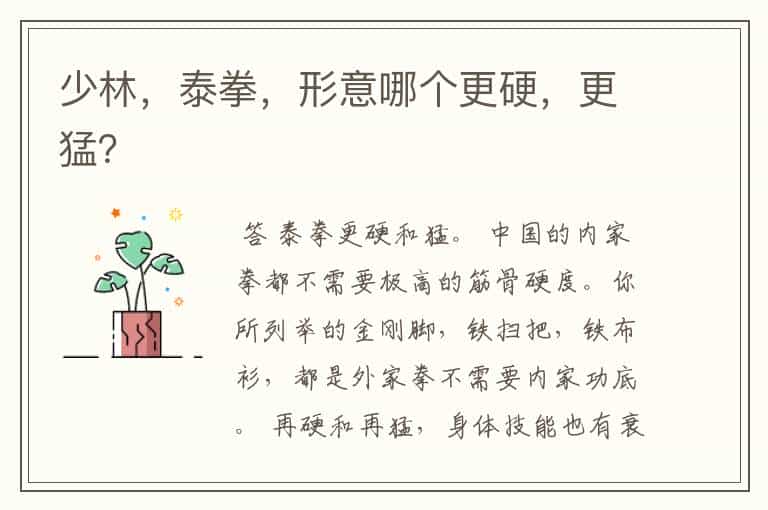少林,泰拳,形意哪个更硬,更猛?