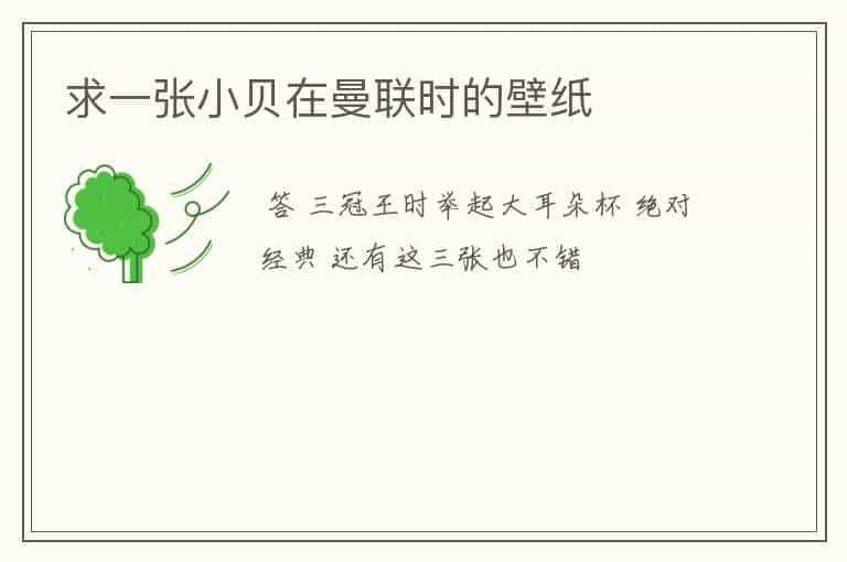 求一张小贝在曼联时的壁纸