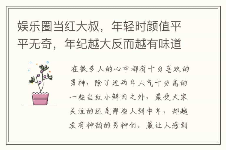 娱乐圈当红大叔,年轻时颜值平平无奇,年纪越大反而越有味道,你怎么看?