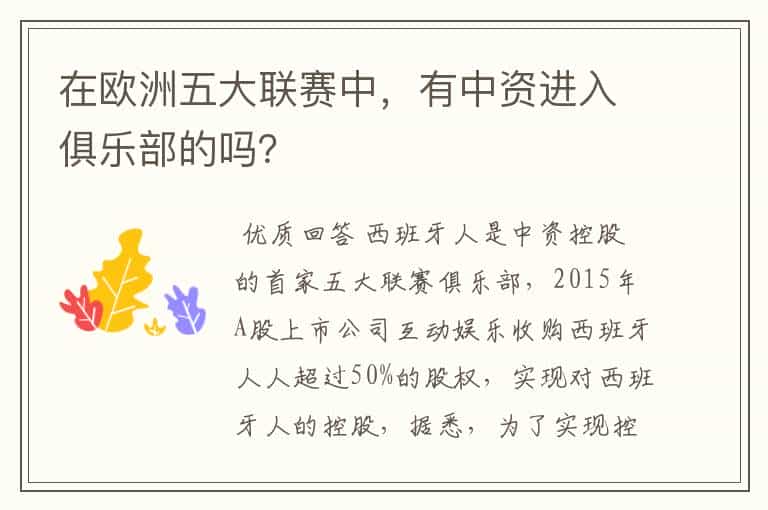 在欧洲五大联赛中,有中资进入俱乐部的吗?