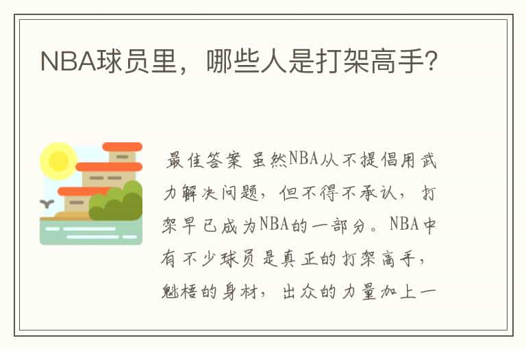 NBA球员里,哪些人是打架高手?