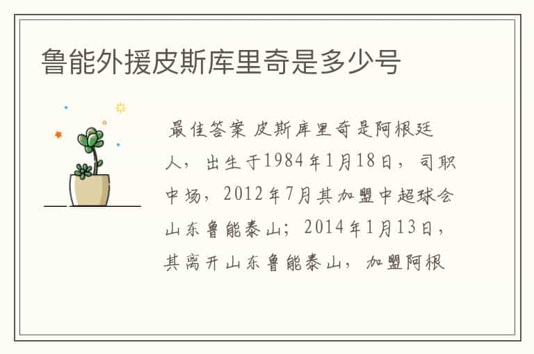 鲁能外援皮斯库里奇是多少号