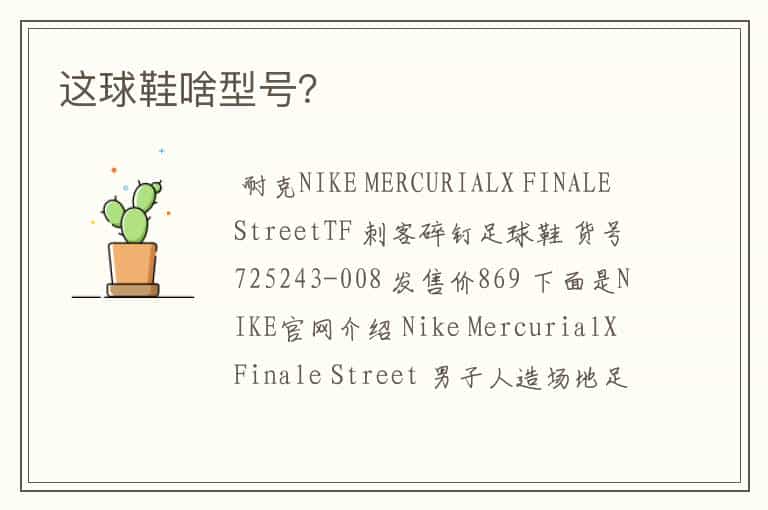 这球鞋啥型号?