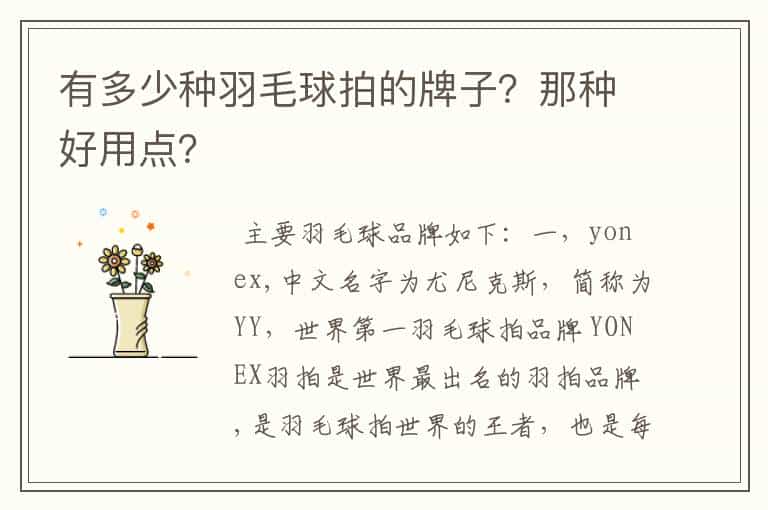 有多少种羽毛球拍的牌子?那种好用点?