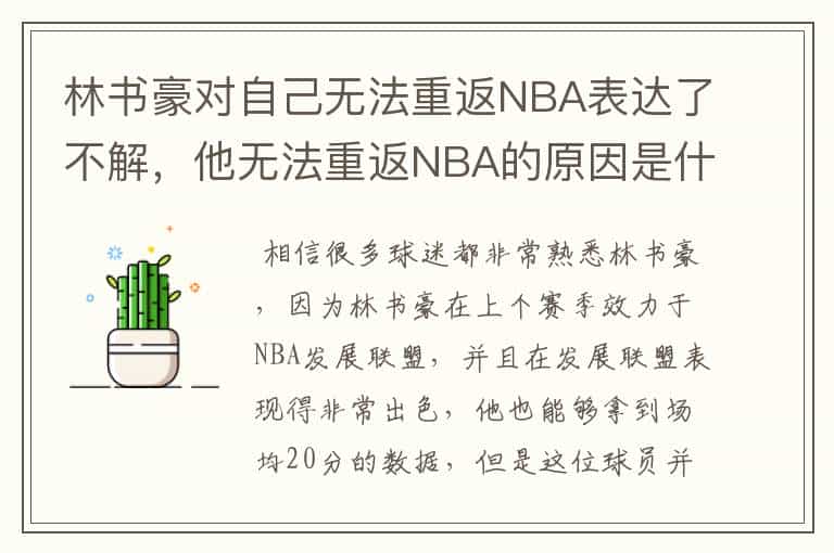 林书豪对自己无法重返NBA表达了不解,他无法重返NBA的原因是什么?