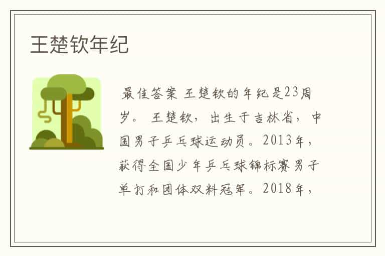 王楚钦年纪
