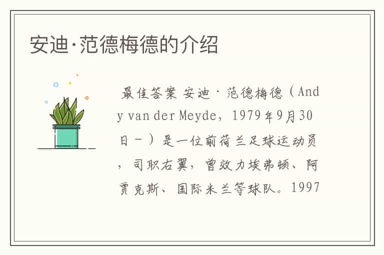 安迪·范德梅德的介绍
