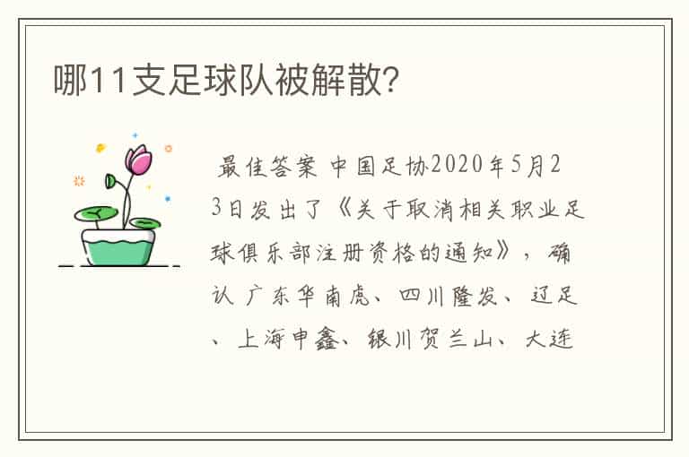 哪11支足球队被解散?