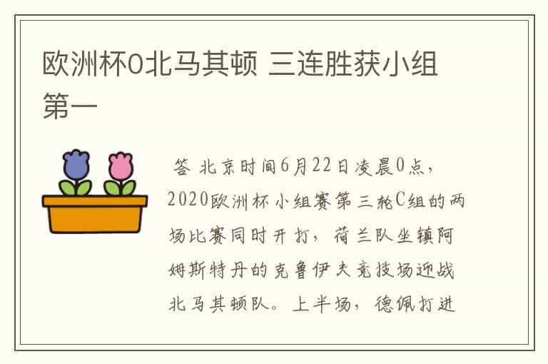 欧洲杯0北马其顿 三连胜获小组第一