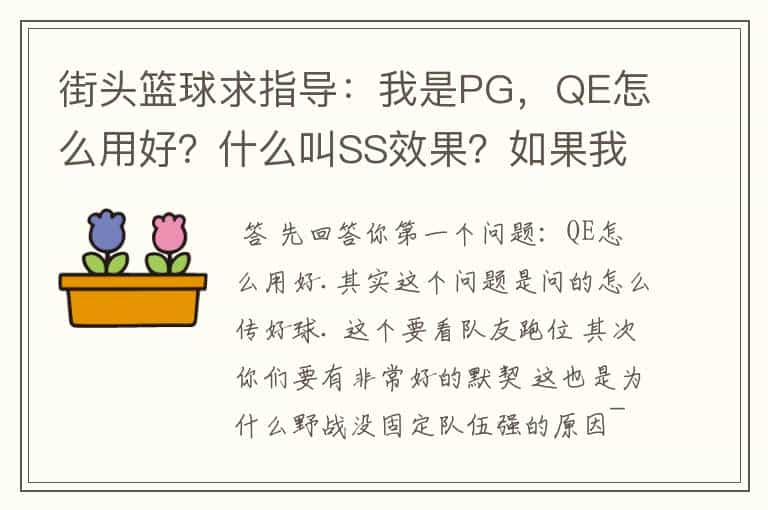 街头篮球求指导:我是PG,QE怎么用好?什么叫SS效果?如果我想传球给任意某个队友,怎样才能做到?